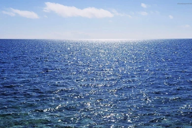 Full Hd Nature Wallpapers 1080P Free   Widescreen HD Wallpapers