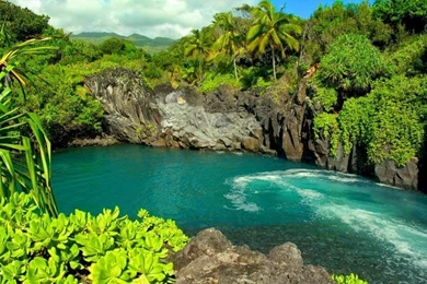 Nature Wallpapers: Nature Wallpaper,nature Wallpapers For Android ...