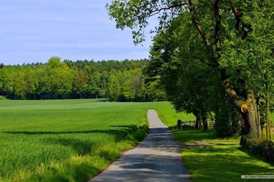 Natural Wallpapers 13   Best Wallpapers Collection