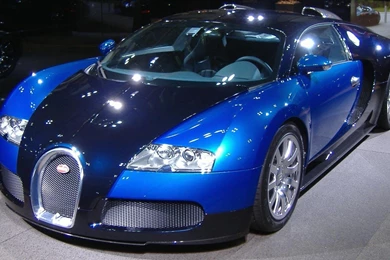 Bugatti Veyron Exposition Normal HD Wallpapers Wallpapers   (