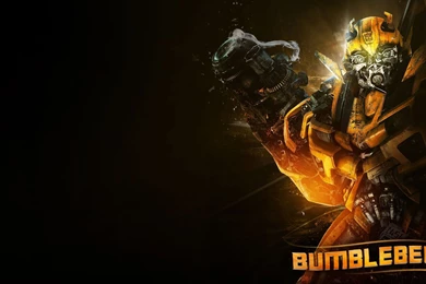 Bumblebee Wallpapers
