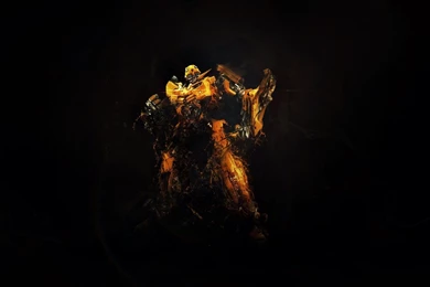 Top Bumble Bee Wallpaper Images For Pinterest