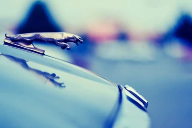 Top Jaguar Logo Hd Wallpaper Images For Pinterest