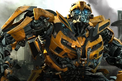 Honey Bee HD Wallpapers