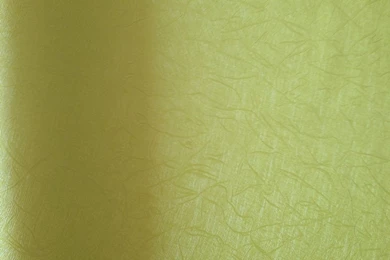 Wallpapers Tree Buddha Wallpapers Plain Colour Wallpapers Inkjet ...