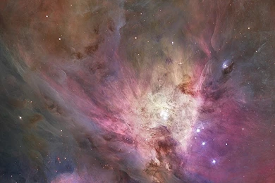 Free Download Counter Strike Nature Vertical High Definition Most ...