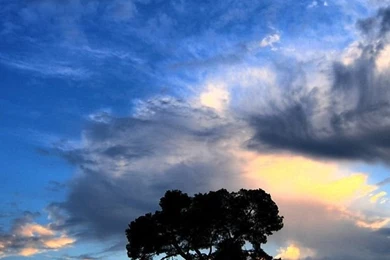 Top 1200x1920 Vertical Wallpaper Images For Pinterest