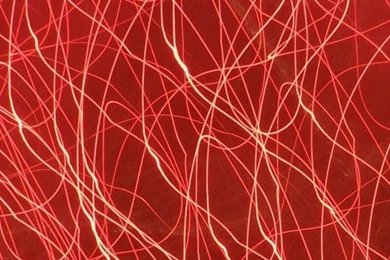 Red Cool Vertical Lines Iphone 4 Wallpapers Free 640x960 Hd Iphone ...