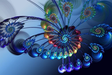 3D Abstract Feathers Wallpapers