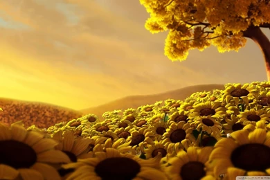 Sunflowers 3d Wallpapers 1920x1080   1511042