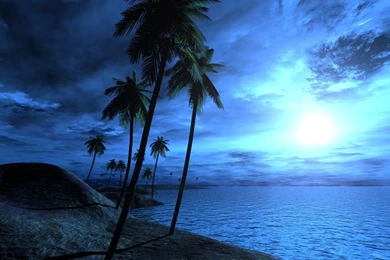 3D WALLPAPER STAY034