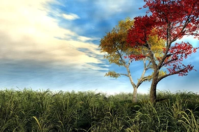 3D WALLPAPER STAY028