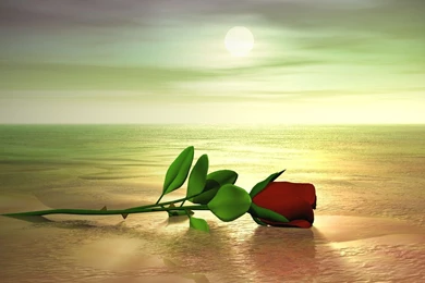 3d D Wallpapers Make Every [Your Popular HD Wallpaper]