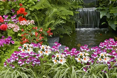 Gardens Wallpaper: Flower Garden Wallpaper Backgrounds View And ...