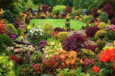 Beautiful Flower Garden Wallpapers   Crazy Frankenstein