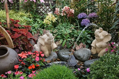 Flower_garden dsc00910.jpg