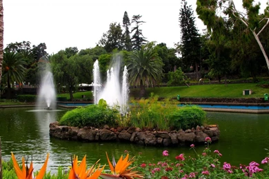 Flower wallpapers garden free hd for desktop