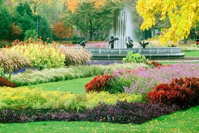 Beautiful Flower Garden Wallpapers   Crazy Frankenstein