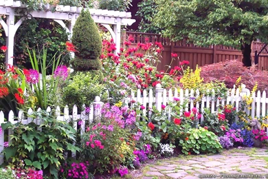 Summer Garden Wallpapers   Crazy Frankenstein