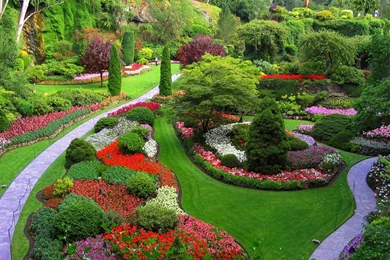 Amazing Garden Flowers Pictures.jpg