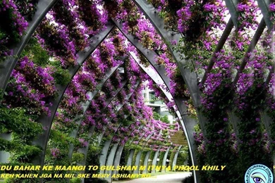 View Purple Flower Garden Picture Wallpapers In 1024x768 Resolution