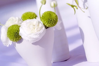 Room Flower Wallpapers 21706   Flower Wallpapers   Flowers