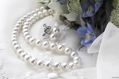 BACK DROP FLOWER WEDDING   WEDDING FLOWERS