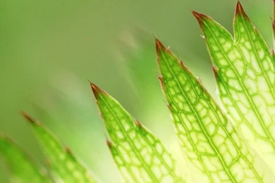 720x1280   Samsung Wallpapers