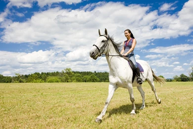 Horseback Riding Wallpapers And Images   Wallpapers, Pictures, Photos