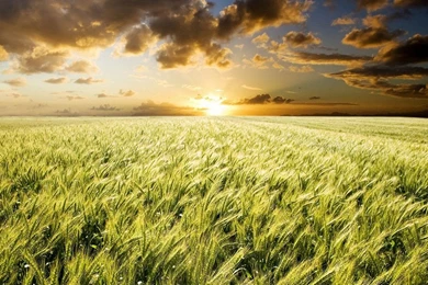 Nature Backgrounds For Mac