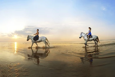 Two People Horseback Riding On The Beach ~ Trends Wallpapers