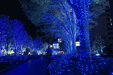 Nice blue light tree landscape