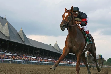 Horse Racing Wallpapers   192396