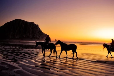 Sunset Horse Riding   Flikie Wallpapers