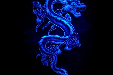 Water Dragon Wallpapers