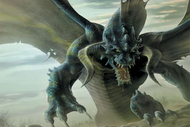 Green Dragon Wallpapers   All Wallpapers New