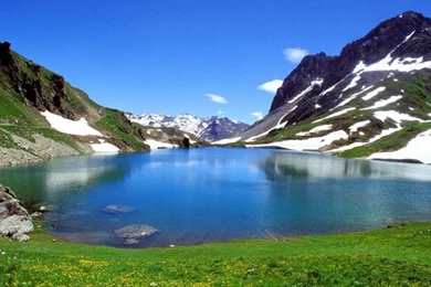 Free Hd Wallpapers Wallpapers Nature 1920x1080