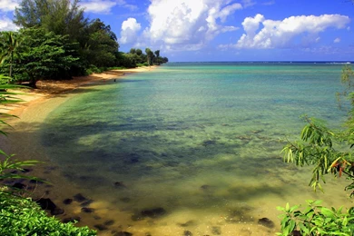 Wallpapers Of HD Nature