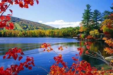 Hd Wallpapers Nature 1920x1080 Free Download