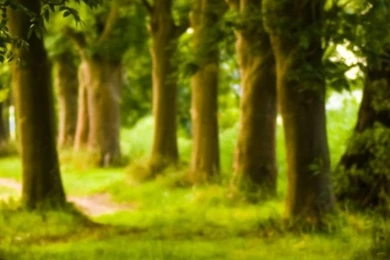 Top Nature Iphone Background Images For Pinterest