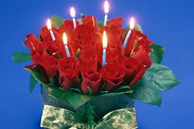 Rose Wallpapers Hd Tumblr For Walls For Mobile Phone Widescreen For ...