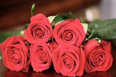 A Family's Group   Yahoo Groups