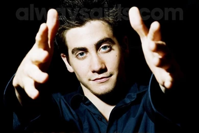 Jake Gyllenhaal   Jake Gyllenhaal Wallpapers (11976351)   Fanpop