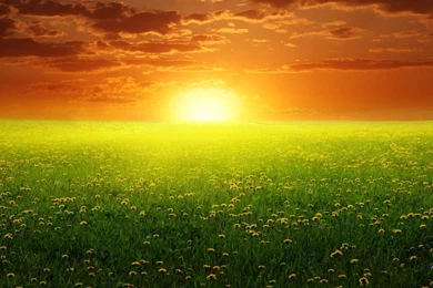 Bright Wallpapers   Wallpapers