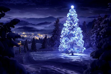 Christmas Tree Wallpapers