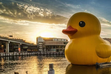 1920x1080 Rubber Duck City Wallpapers
