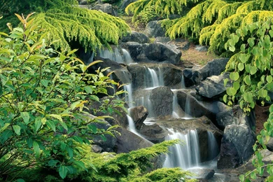 Top Wallpapers Provider Waterfall Wallpaper Images For Pinterest