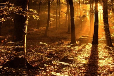 Awesome Wallpapers Awesome Wallpapers   (