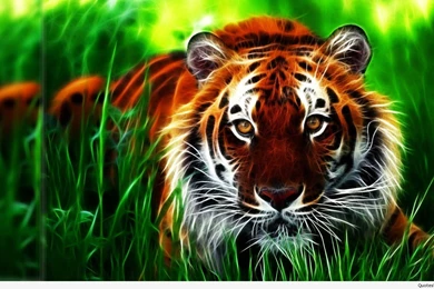 Hd 3d wallpapers for pc full screen 12.jpg