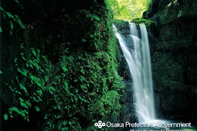 Desktop Waterfall Wallpapers   38662